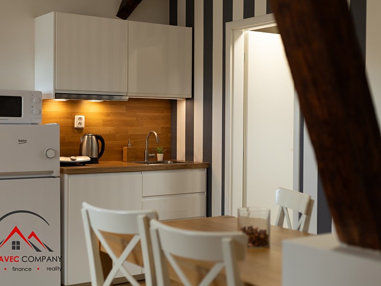 Pronájem bytu 1+kk, 38 m² (3 z 15)
