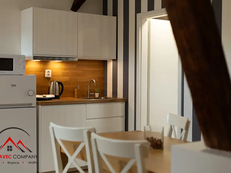 Pronájem bytu 1+kk 38 m², Ostrava – náhled fotky 3