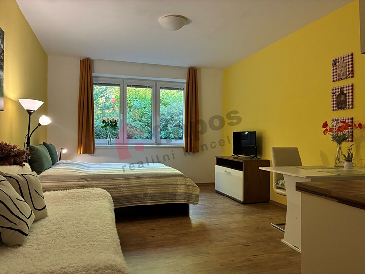 Wohnung 1+kk zum Kauf, 25 m² (7 von 29)