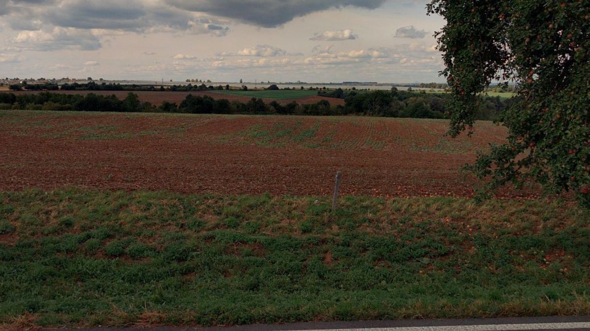 Prodej pole 6834 m² – fotografie 2