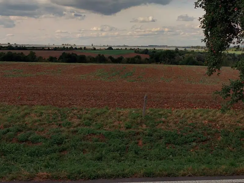 Prodej pole 6834 m², Krupá – náhled fotky 2