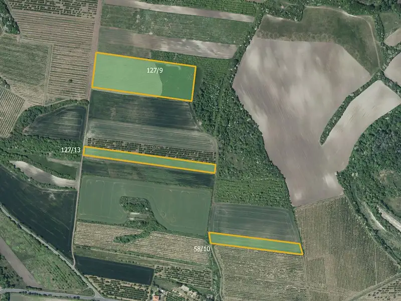 Prodej sadu, vinice 133318 m², Želkovice – náhled fotky 3