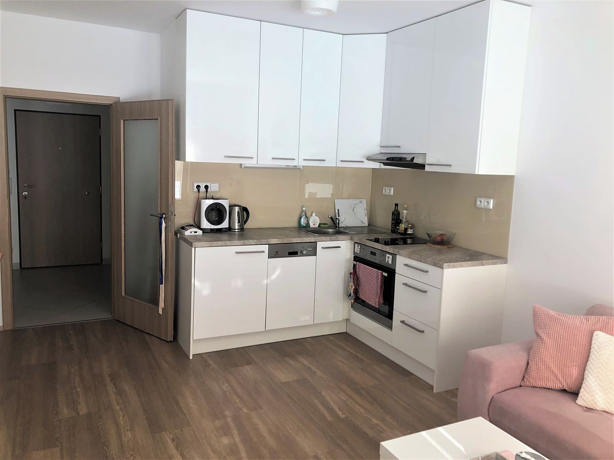 Pronájem bytu 1+kk 39 m² – fotografie 2
