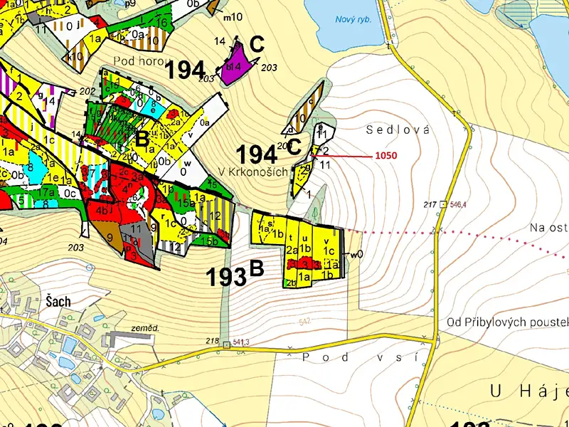 Dražba lesa 1007 m², Volfířov – náhled fotky 3