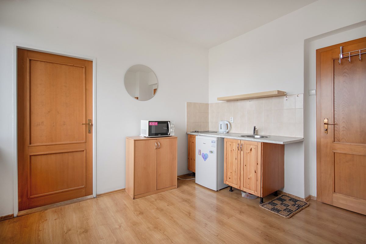Pronájem bytu 1+1 25 m² – fotografie 3