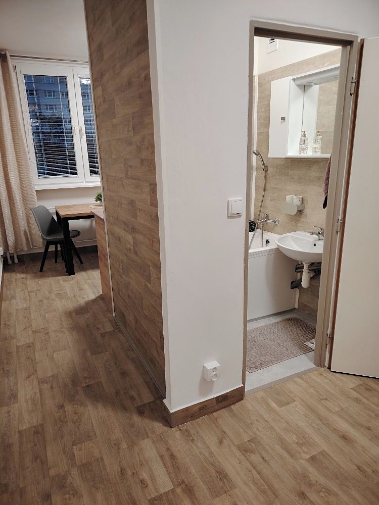 Pronájem bytu 2+1 56 m² – fotografie 5