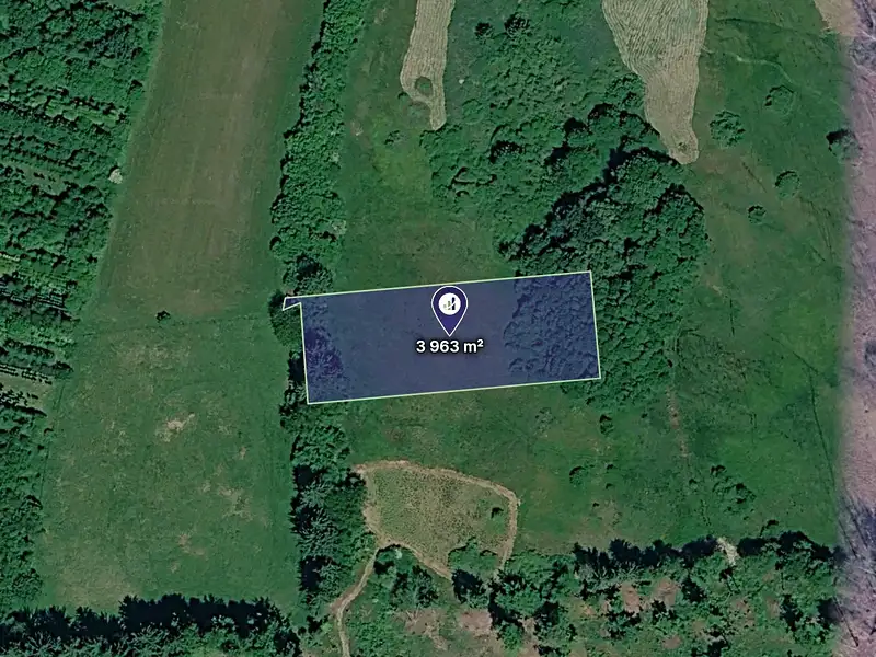 Prodej louky 3963 m², Nový Rychnov – náhled fotky 1