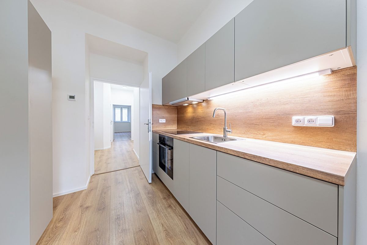 Pronájem bytu 1+1 45 m²