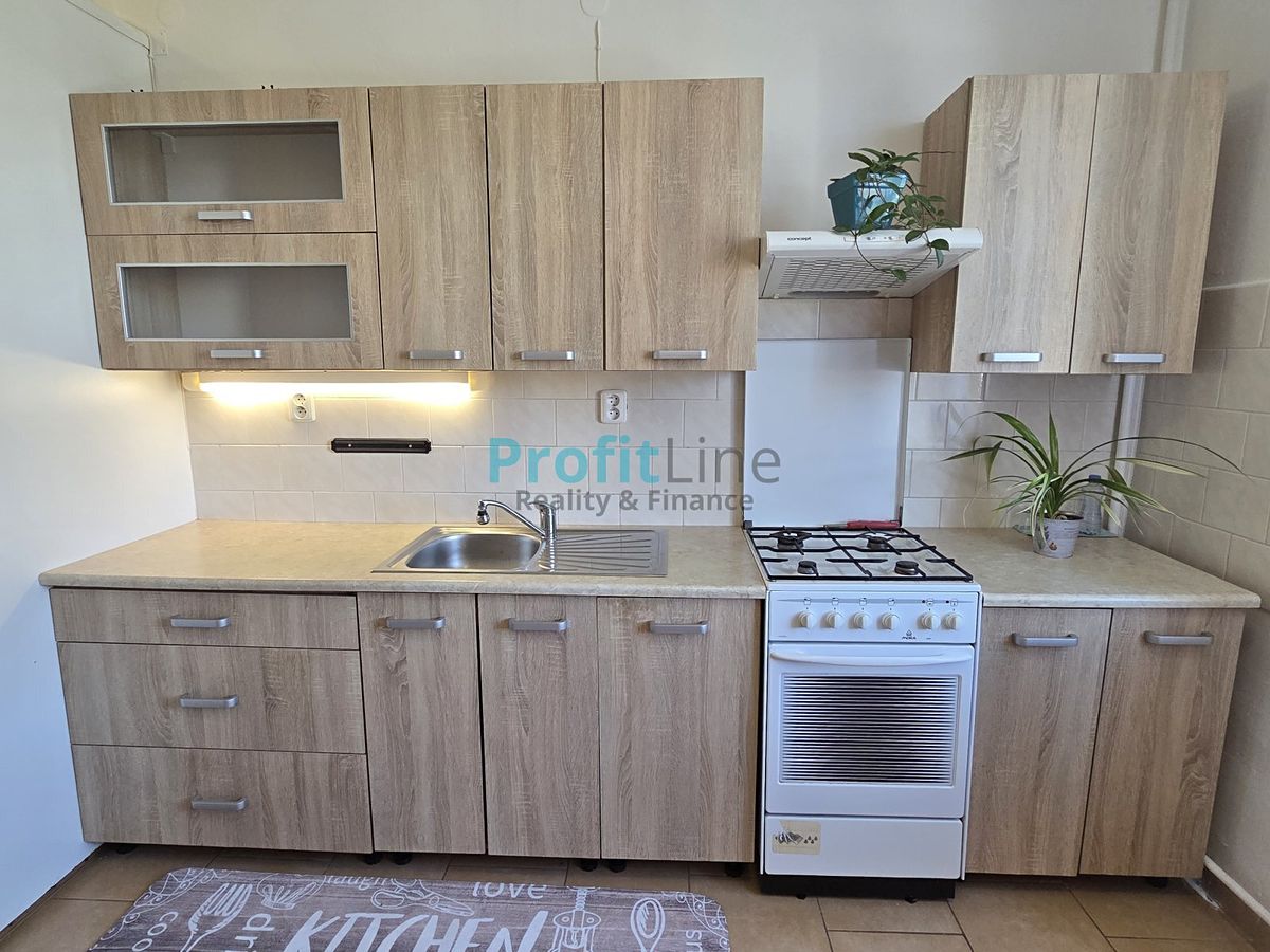 Pronájem bytu 1+1 40 m² – fotografie 3