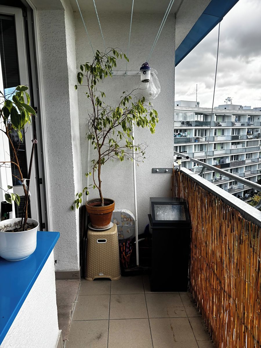 Prodej bytu 3+1 73 m² – fotografie 5