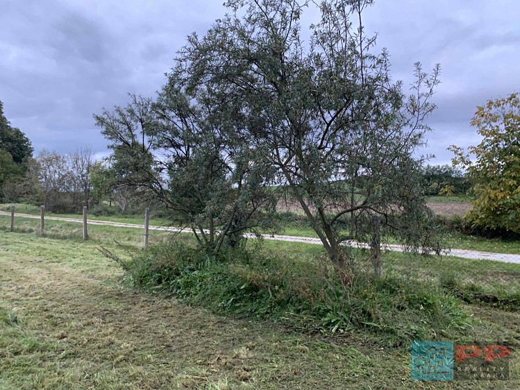 Prodej domu, 157 m² (13 z 32)