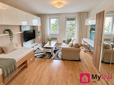 Pronájem bytu 1+1 40 m²