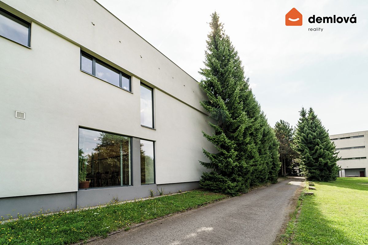 Prodej obchodního prostoru 435 m² – fotografie 3