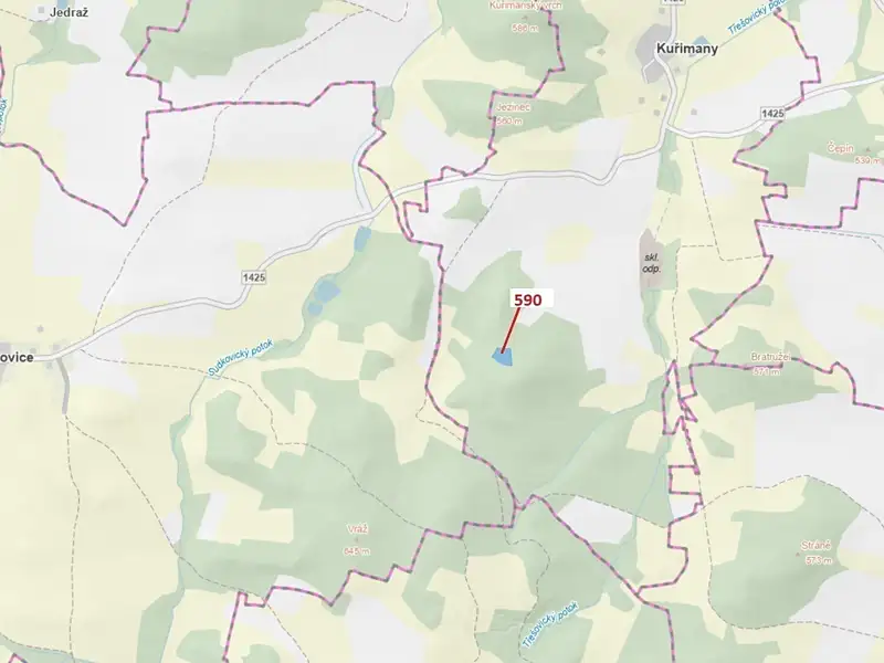Dražba lesa 4807 m², Kuřimany – náhled fotky 1