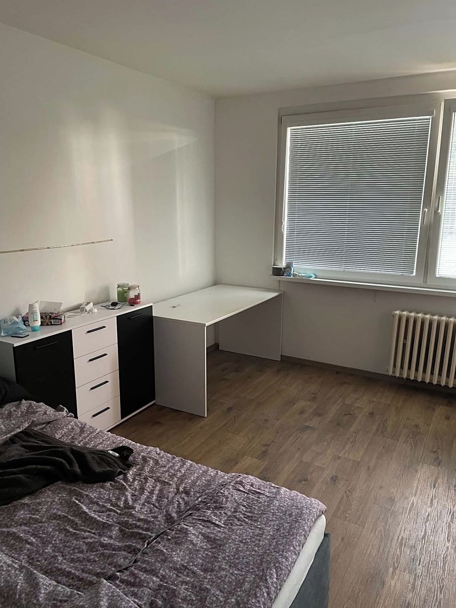 Pronájem bytu 1+1 38 m²