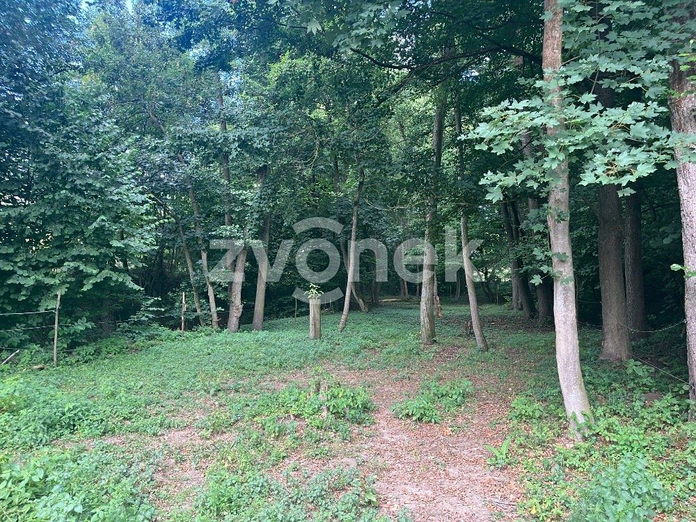 Prodej pozemku 1620 m² – fotografie 2