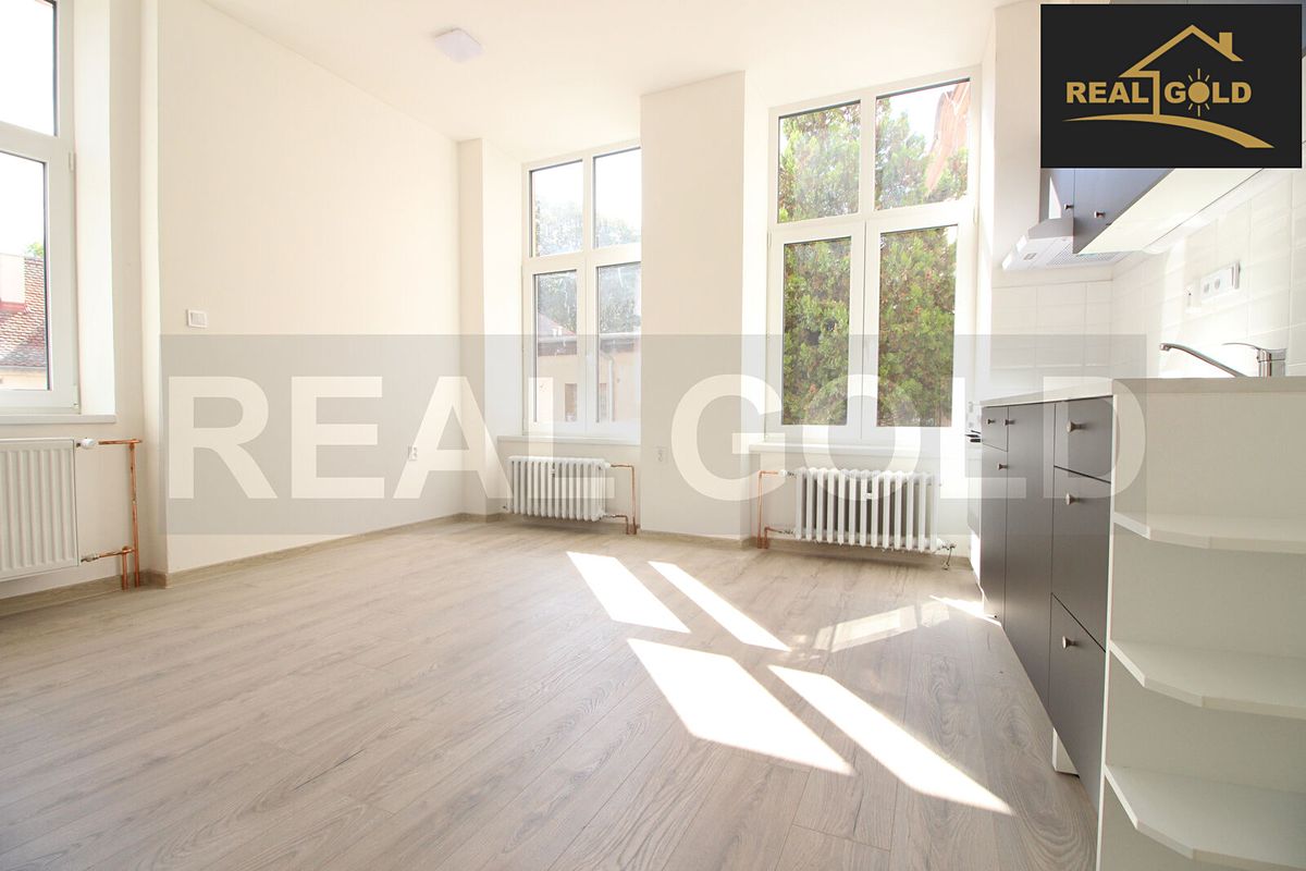 Pronájem bytu 1+kk 33 m² – fotografie 4