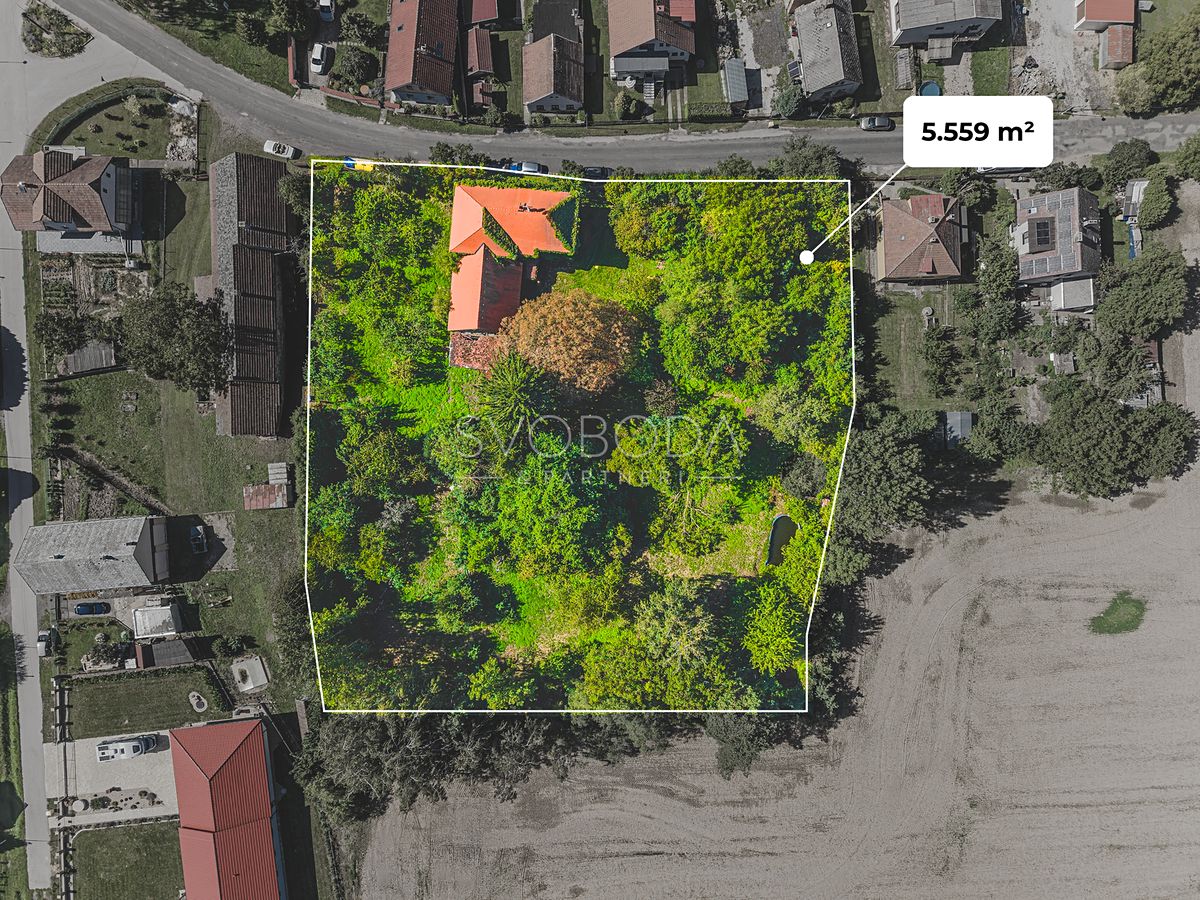 Prodej rodinného domu 300 m², pozemek 5559 m² – fotografie 2