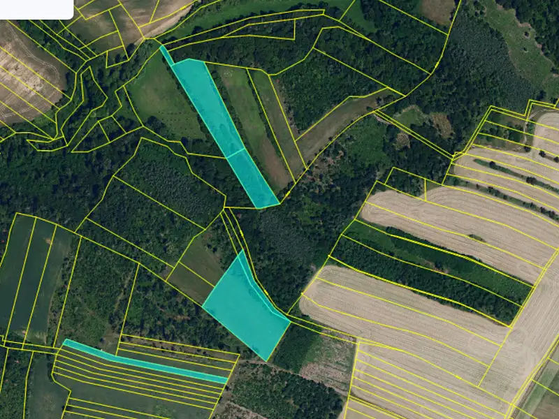 Prodej pole 15454 m², Černín – náhled fotky 2