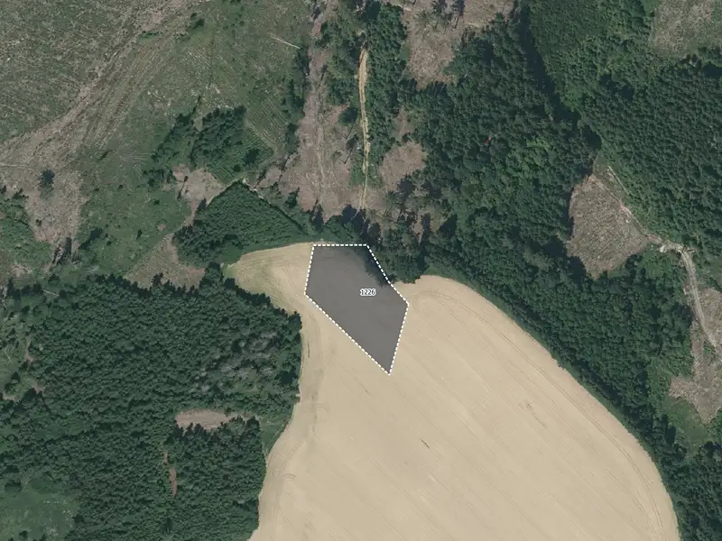 Prodej pole 9679 m², Lukavec – náhled fotky 3