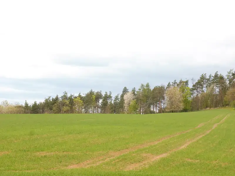 Dražba pozemku 13755 m², Pyšely – náhled fotky 2