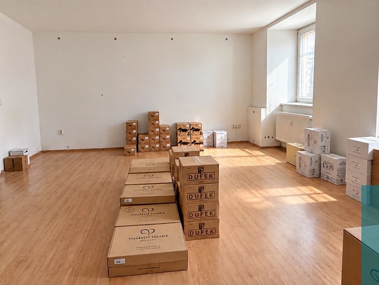 Prodej domu, 675 m² (30 z 92)