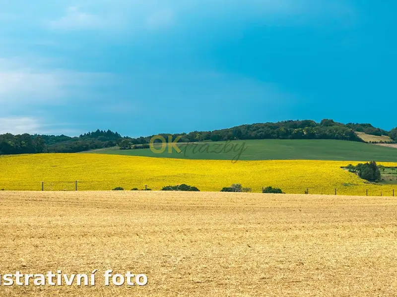 Dražba pozemku 1375 m², Úštěk – náhled fotky 2