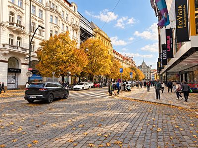 Pronájem obchodního prostoru 45 m²