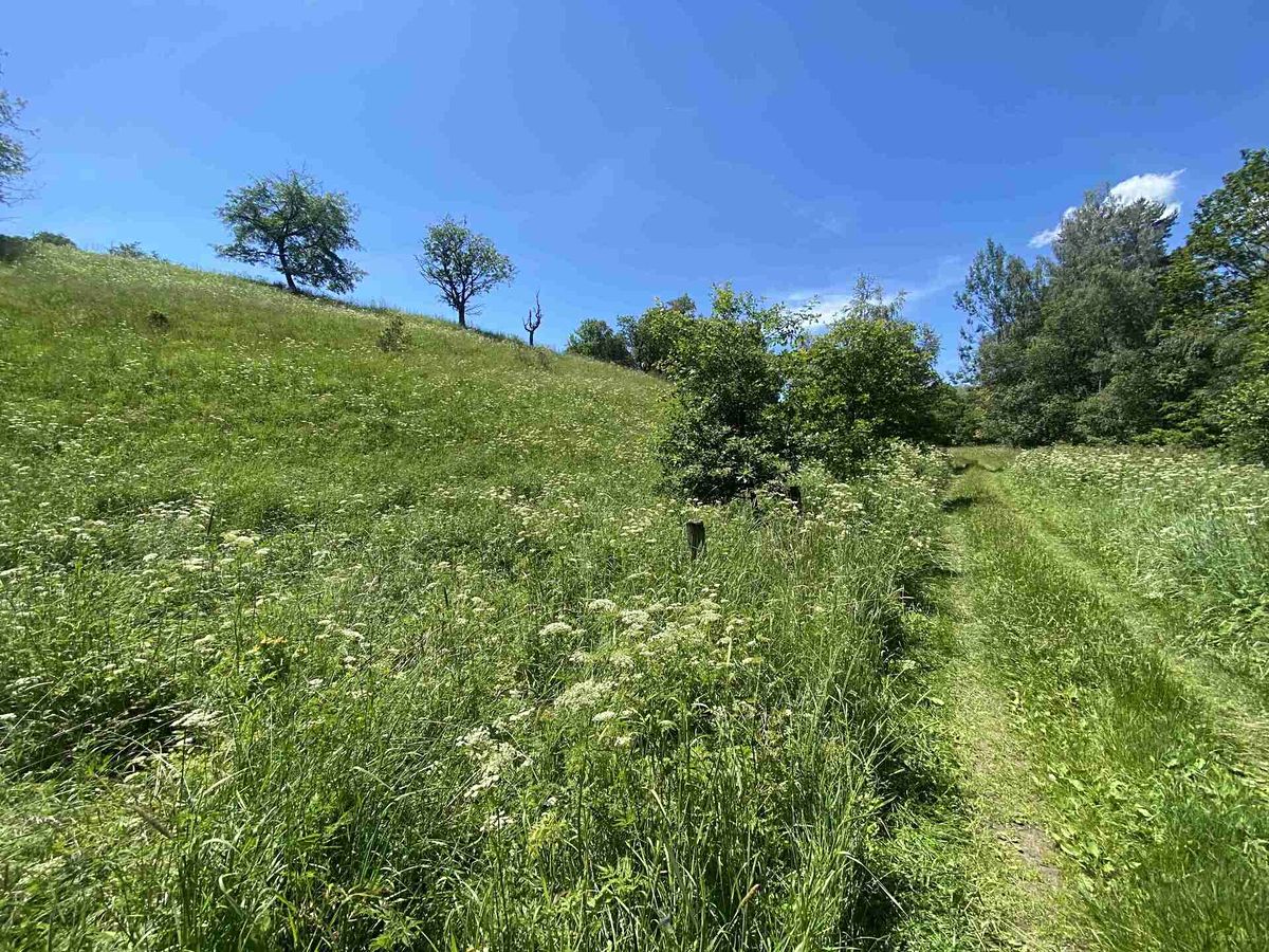 Prodej pole 5634 m²
