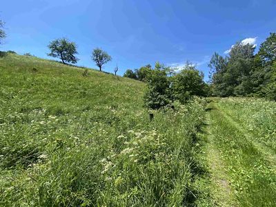 Prodej pole 5634 m²