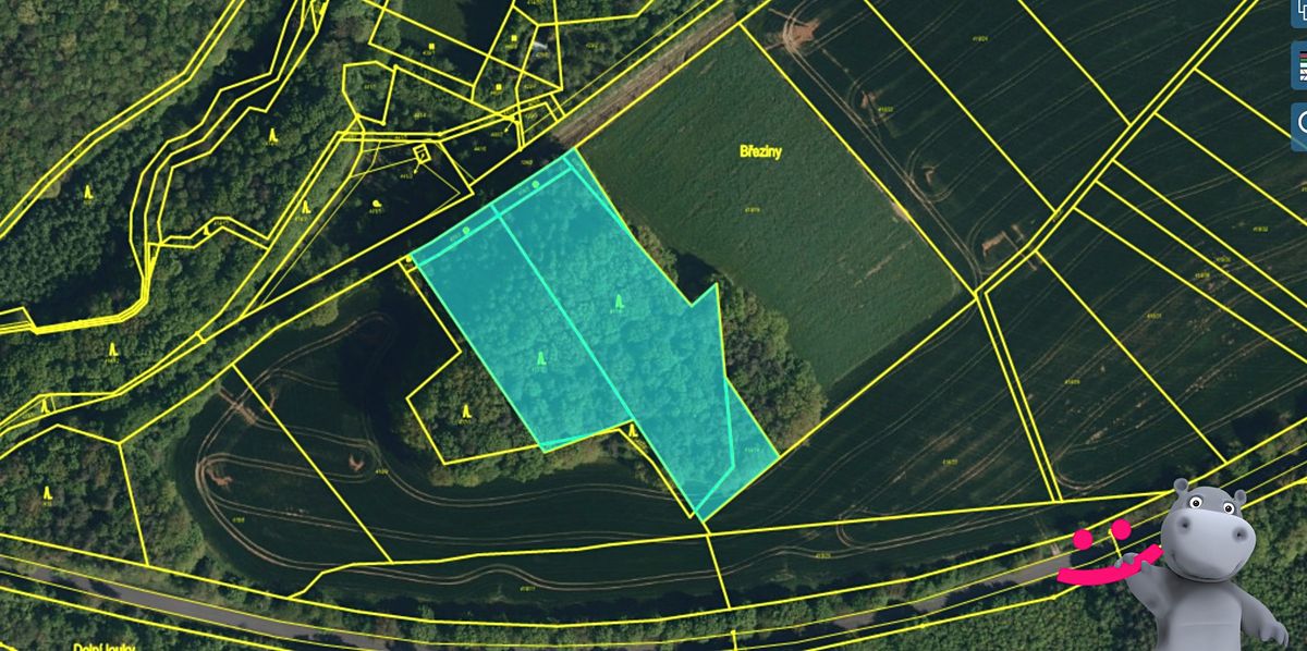 Prodej lesa 9556 m² – fotografie 2