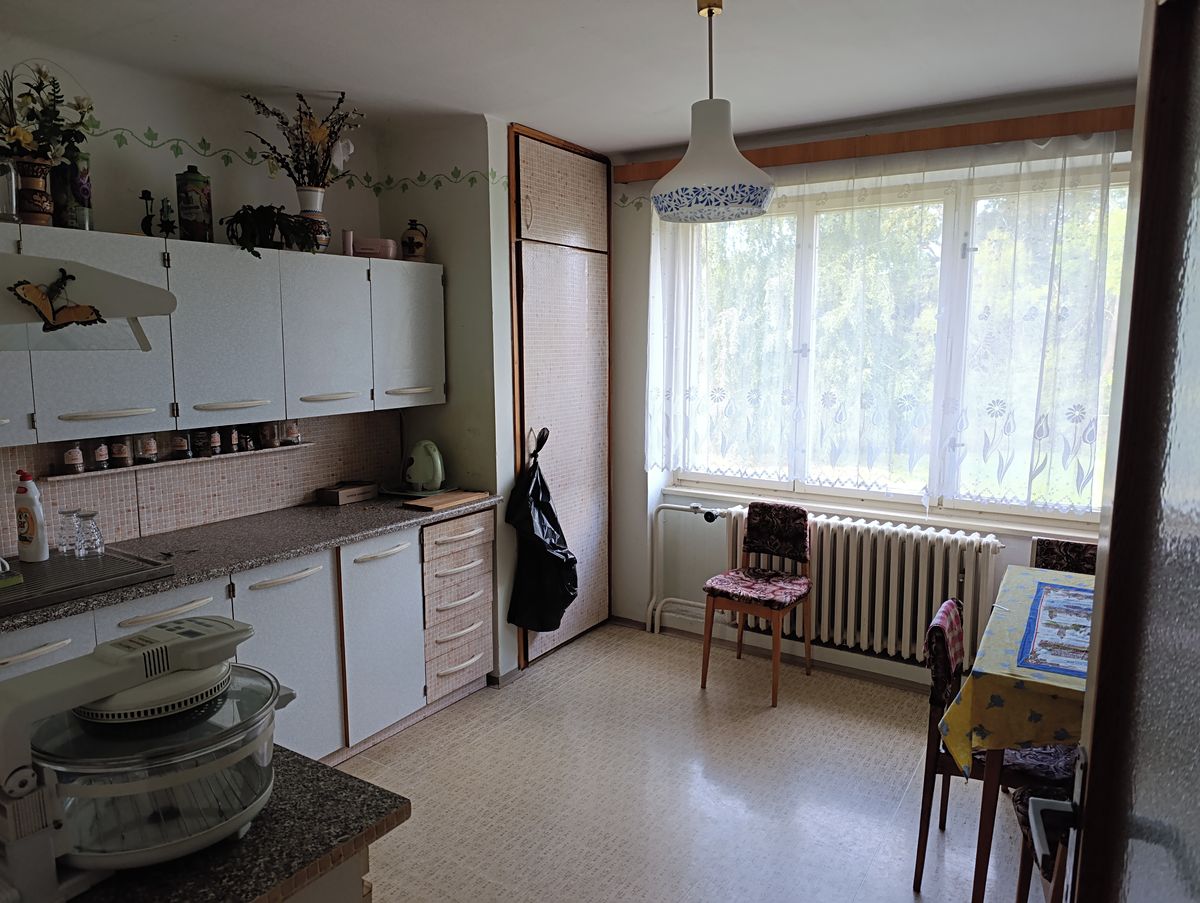 Pronájem zemědělské usedlosti 800 m², pozemek 3500 m² – fotografie 2