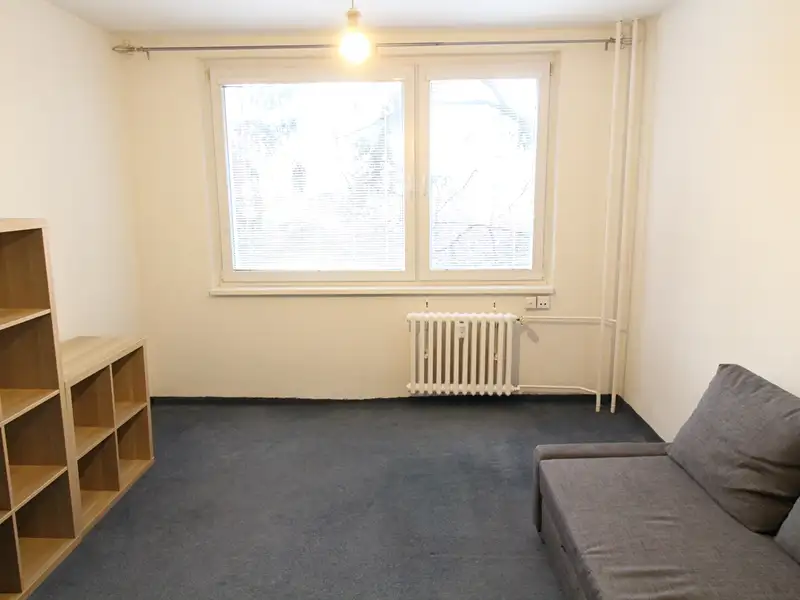 Pronájem bytu 1+kk 31 m², Praha – náhled fotky 1