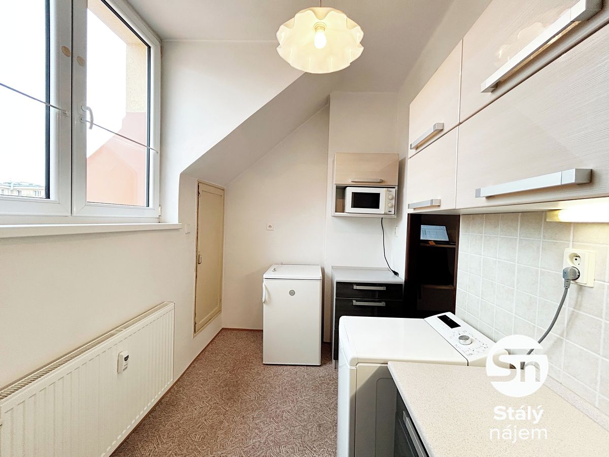 Pronájem bytu 2+1 41 m² – fotografie 4