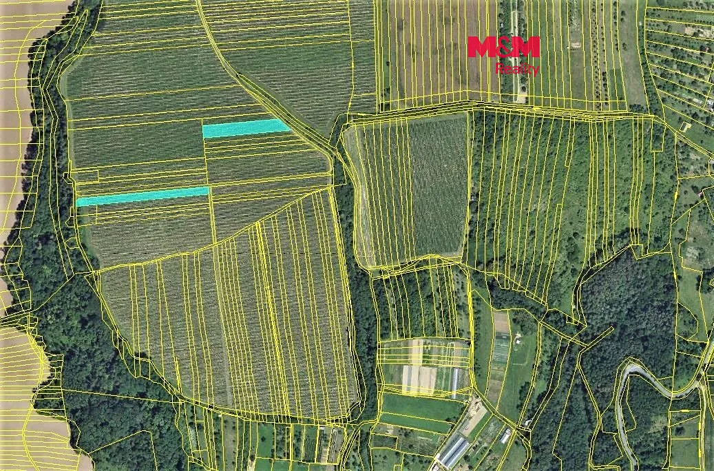 Prodej podílu 1/3 sadu, vinice 1543 m²