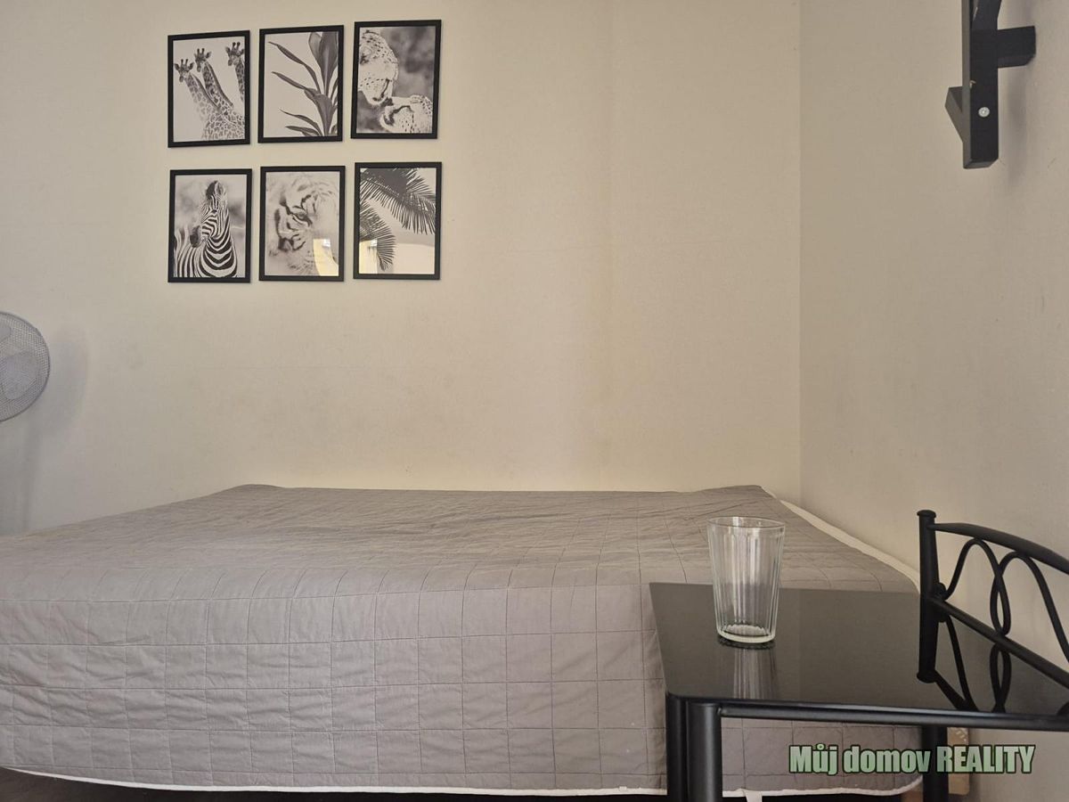 Pronájem bytu 1+kk 15 m² – fotografie 3