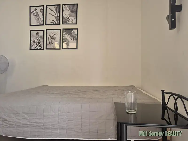 Pronájem bytu 1+kk 15 m², Praha – náhled fotky 3