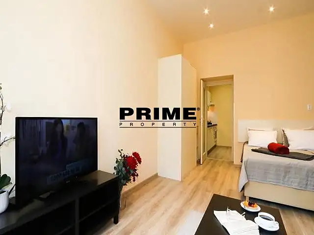 Pronájem bytu 1+1 40 m², Praha – náhled fotky 3