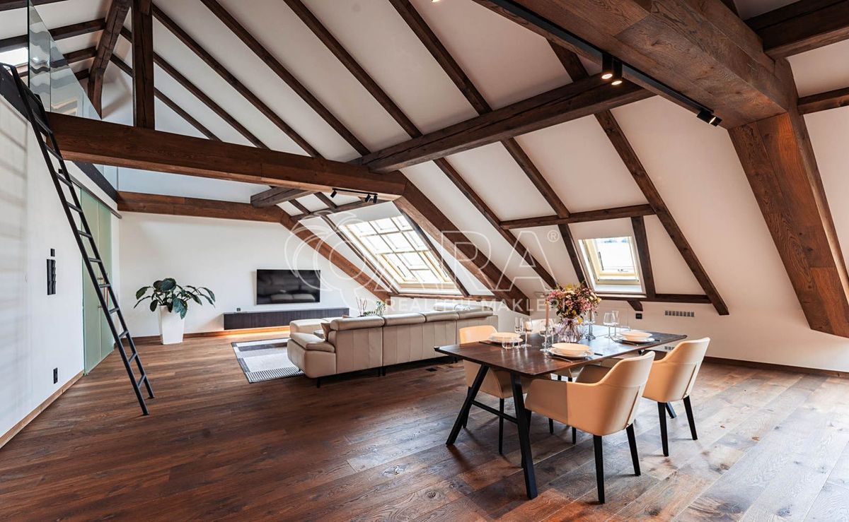 Pronájem bytu 5+kk 335 m²