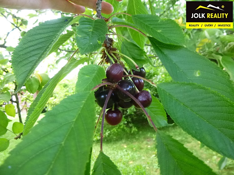 Будинок на продаж, 258 м² (42 з 61)