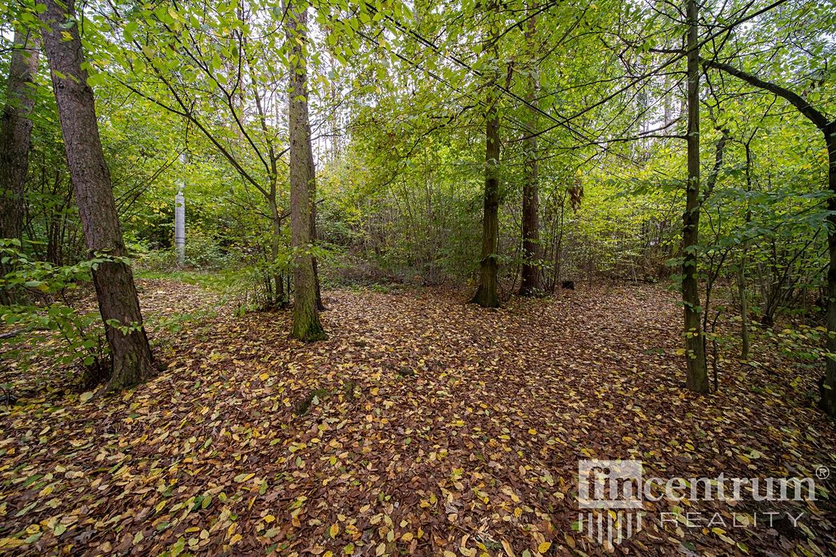 Prodej lesa 2256 m², Slapy – fotka 1 z 3