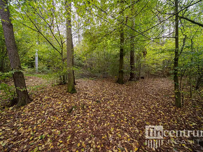 Prodej lesa 2256 m², Slapy – náhled fotky 1