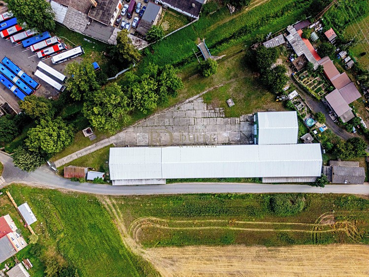 Комерційне приміщення в оренду, 323 м² (8 з 17)