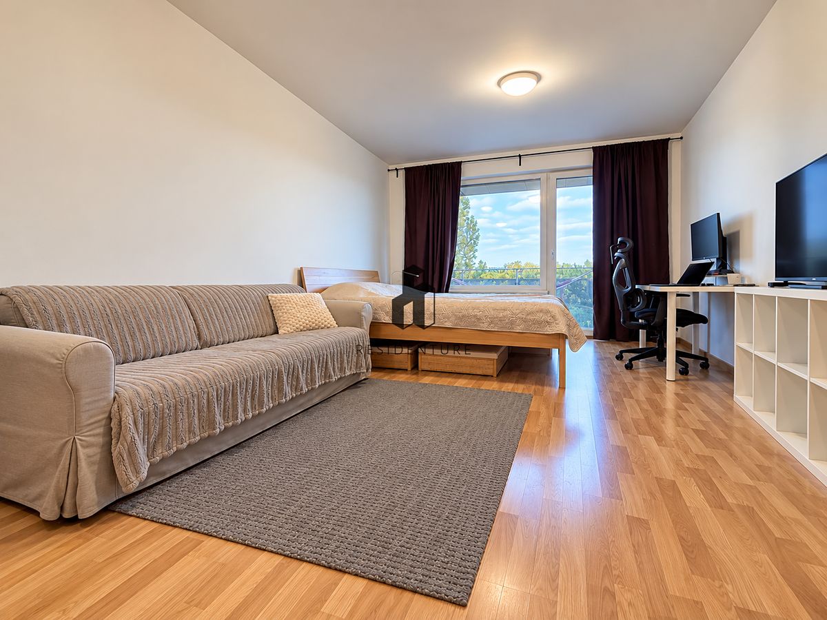 Pronájem bytu 1+kk 45 m² – fotografie 2