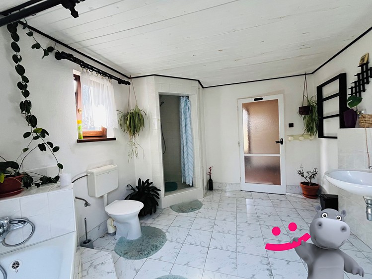 Prodej domu, 446 m² (5 z 29)