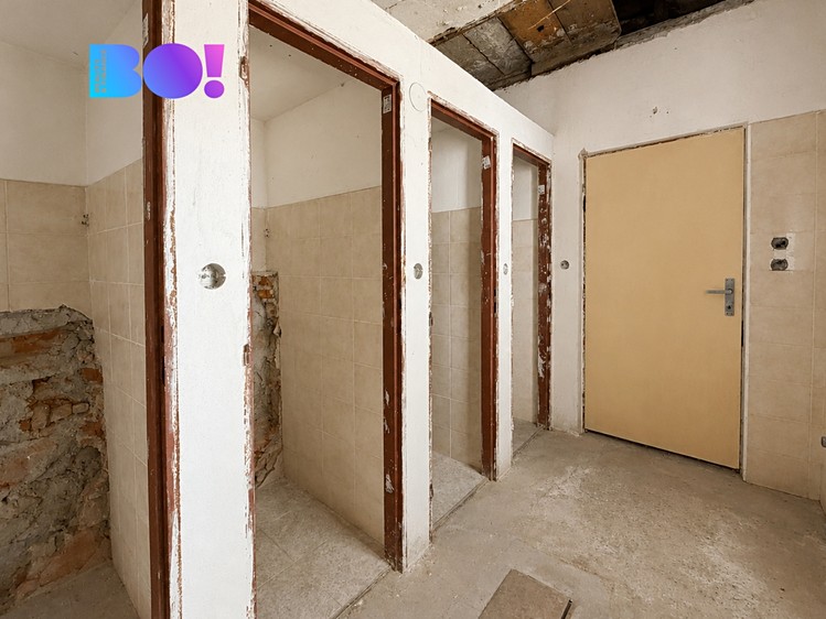 Prodej komerčního prostoru, 260 m² (10 z 18)