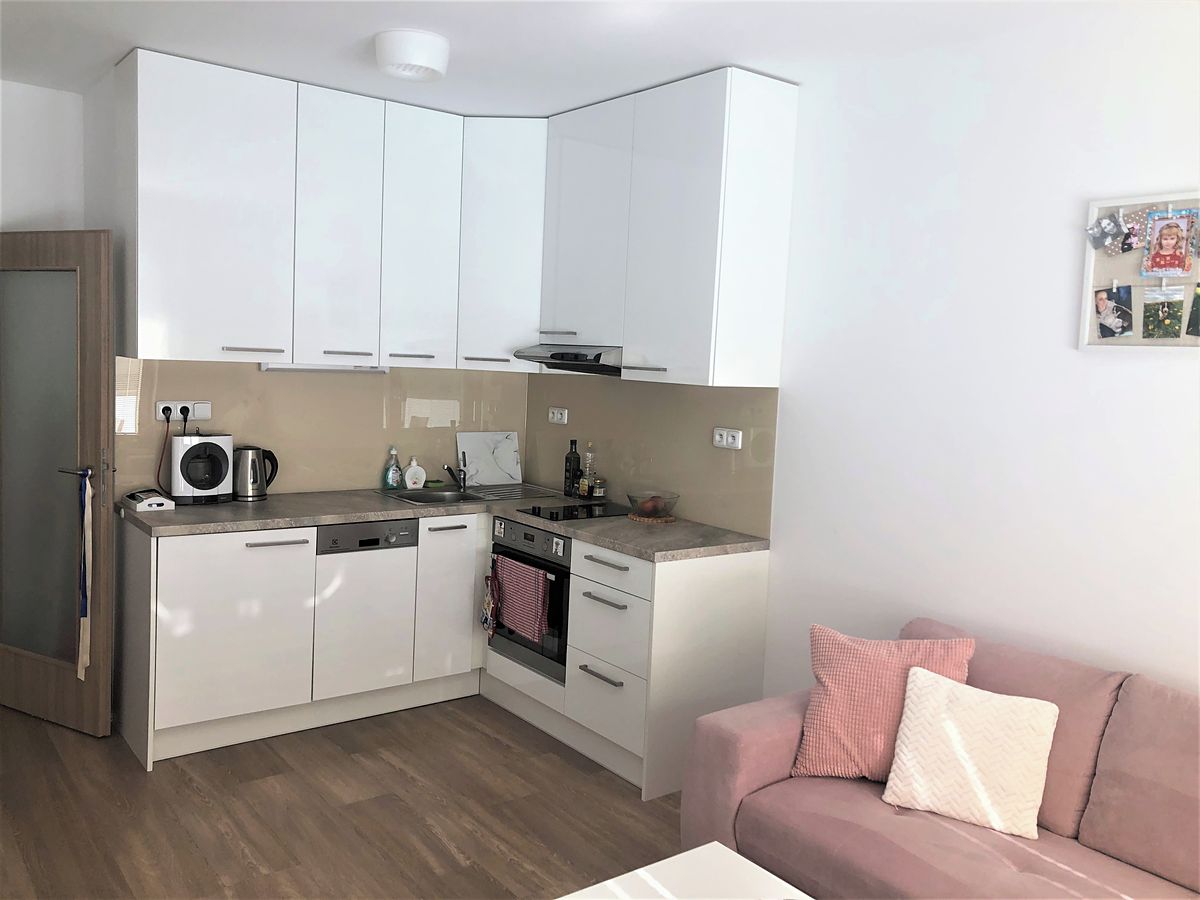 Pronájem bytu 1+kk 39 m²