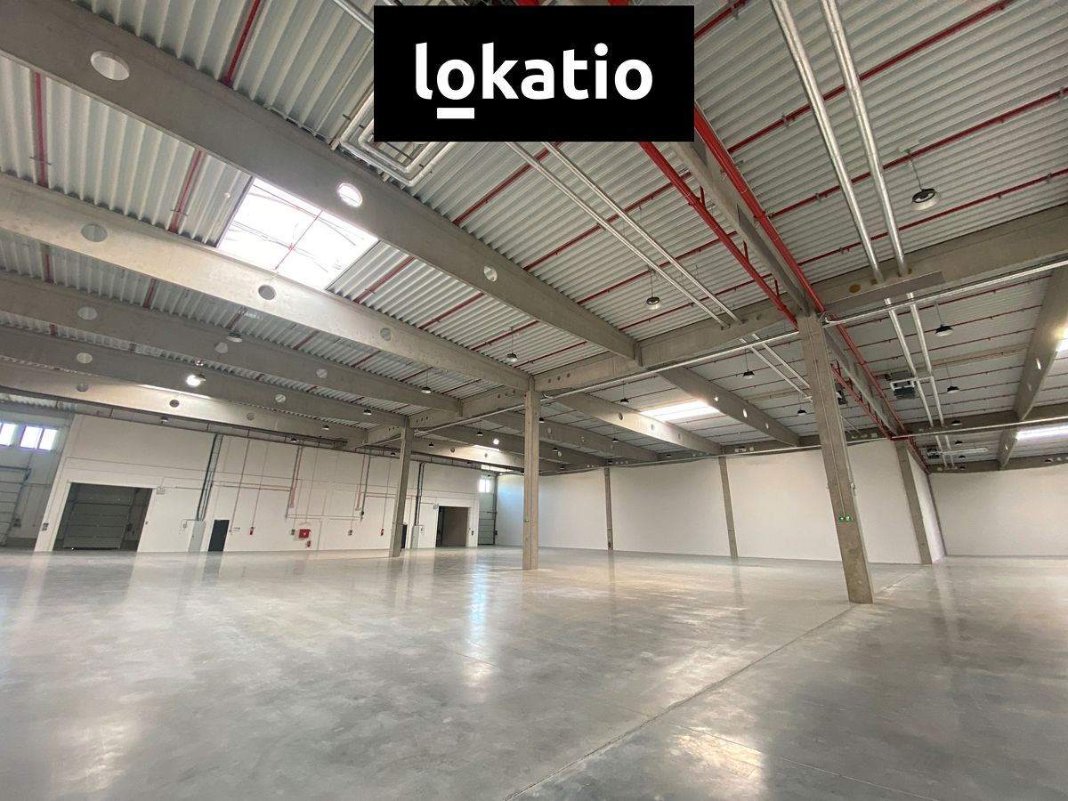 Pronájem výrobní haly, prostoru 1800 m² – fotografie 3