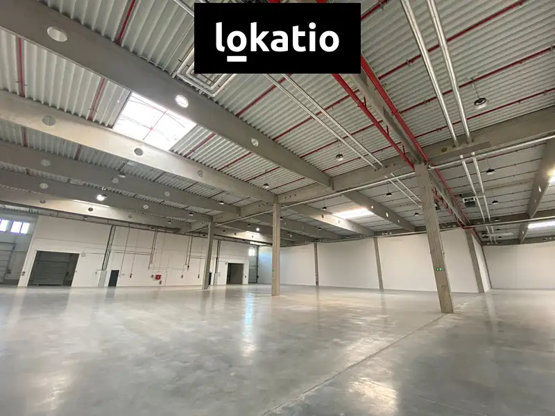 Pronájem výrobní haly, prostoru 1800 m², Mikulov – náhled fotky 3