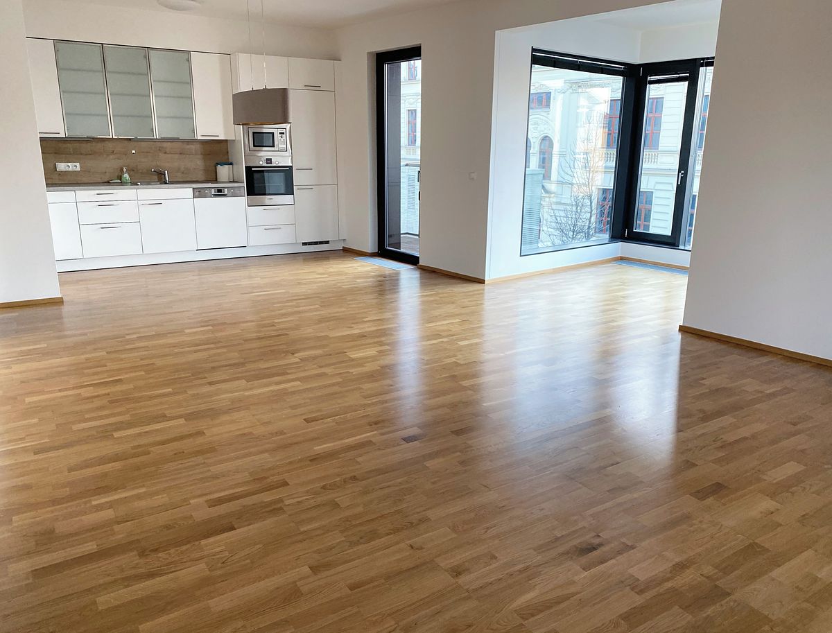 Pronájem bytu 3+kk 100 m² – fotografie 2